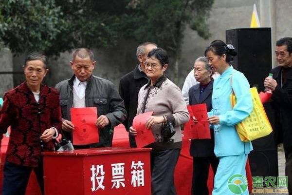 智能村官助手，最新村官政策下的科技新星重塑乡村生活新体验！